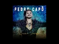 #pedro #capo buena suerte (audio oficial)