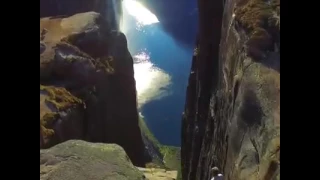 صلوا على المختار أحمد إنه  أذكى الانام وخير من وطئ الثرى دندنها