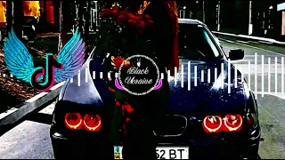 Amaya Roma Лебеді Tiktok Хіт Там де тиша плаче за Вікном 2025 