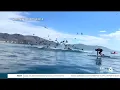 Whale capsizes kayak forces 2 people underwater in Avila Beach