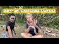 Download Lagu CEMONG TAKUT BANGET‼️ Padahal King Cobra Jinak Sama Vebby! #kingcobraindonesia #snake 