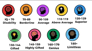 Every Human IQ Level Explained in 8 Minutes