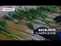 Product Flora BunchMaster - Bercomex Spanish
