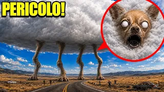 SE VEDI UNA NUVOLA CON 4 ZAMPE… SCAPPA! 😱