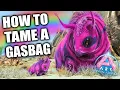 ARK Extinction HOW TO TAME A GASBAG Gasbag Taming Guide
