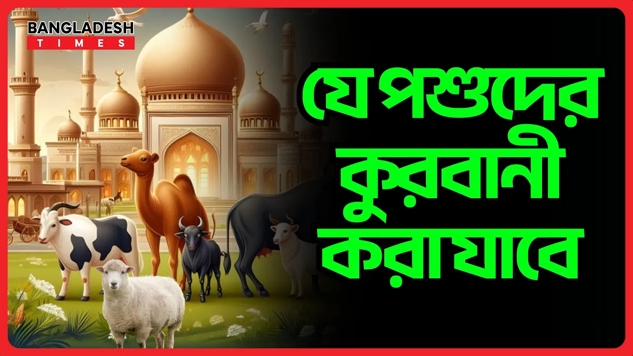 যে পশুদের কুরবানী করা যাবে | ইসলামিক জ্ঞান