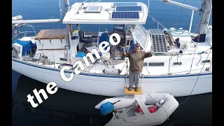 The Cameo Short Video