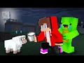 Download Lagu JJ is Helping a Baby Sheep ?!
