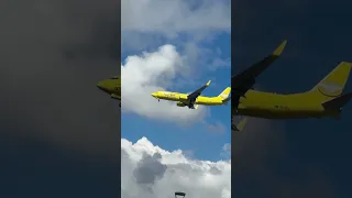 عمرك رأيت طائرة صفراء   دندنها