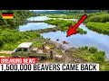 He Moved Beavers Illegally for 20 Years Now the Government Thanks Him