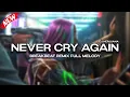 Download Lagu DJ NEVER CRY AGAIN BREAKBEAT REMIX FULL MELODY VIRAL TERBARU 2025