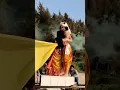 Download Lagu Radha Krishna love status 💕#sumedhmudgalkar ❣️#radhakrishna #mallikasingh💚 #shorts #youtubeshorts