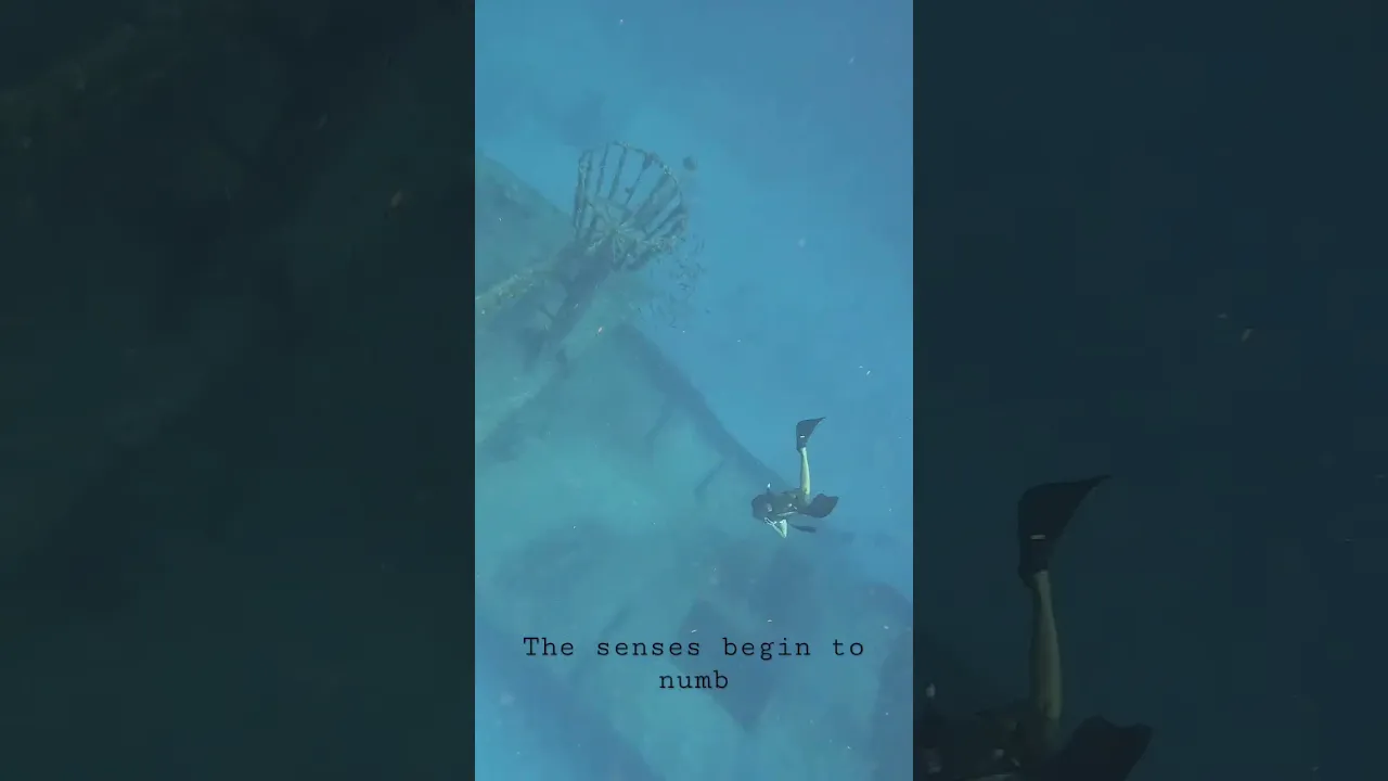 Freediving to 60ft #freediving #travel #sailboat #ocean #viral #diving