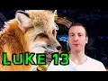 Luke Chapter 13 Summary and What God Wants From Us