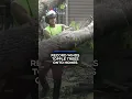 Storm cleanup underway after 100 winds