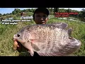 Download Lagu MANCING GURAME DAN DAPAT REZEKI KERANG DI SUNGAI PEDALAMAN BATANG ALIN PASAMAN BARAT