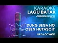 Download Lagu Dung Sega Ho - Osen Hutasoit (Nada Cowok) Karaoke Akustik ‼️ Minus One Lagu Batak Beserta Lirik