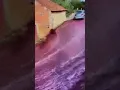 Download Lagu The Shocking 600k Gallon Red Wine Flood in Portugal