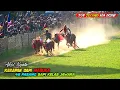Download Lagu Full Kerapan Sapi Terbesar Se Madura di lapangan JET MATIC