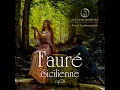 Sicilienne, Op. 78 - Metamorphose String Orchestra, Pavel Lyubomudrov & Gabriel Fauré