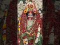 Download Lagu Thakte Dis Re Maa | Tara ma #shorts #trending #taramaa #tarapith #kali #boroma #viral #youtubeshorts