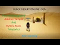 How to Distinguised Hystria Ruins and Aakman Temple Teleporter - Black Desert Online SEA