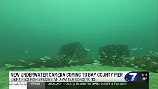 Bay County Tourist Development Council approves underwater pier camera at M B Miller County Pier