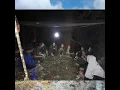 Download Lagu Lagu pecinta alam \