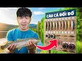 Download Lagu PHD - Trận Chiến Câu Cá Đổi Đồ - Tập 6 - Chiến Thắng Thuyết Phục