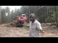 TIMBER THEFT FROM WEBSTER ESTATE