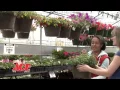 Hurst Ace Hardware in Cedar City and St George