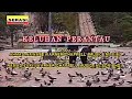 Download Lagu Jamal Abdillah - Keluhan Perantau KARAOKE