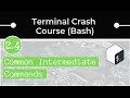 Intermediate Bash Commands grep sed awk tar less gzip