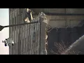 Crews begin removing walls of Centennial Mills building