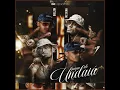 Papo De Undaiá - Mc Dena, Bielzin & DJ Menor PR