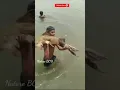 Download Lagu fishing fish by a  mallah boy in ganga river   #shorts #botanicalworldbyshabeer