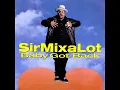 Sir Mix-A-Lot - Baby Got Back