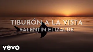 Valentín Elizalde - Tiburón A La Vista (Visualizer)
