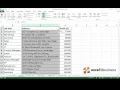 How to Filter Text in Excel 2013
