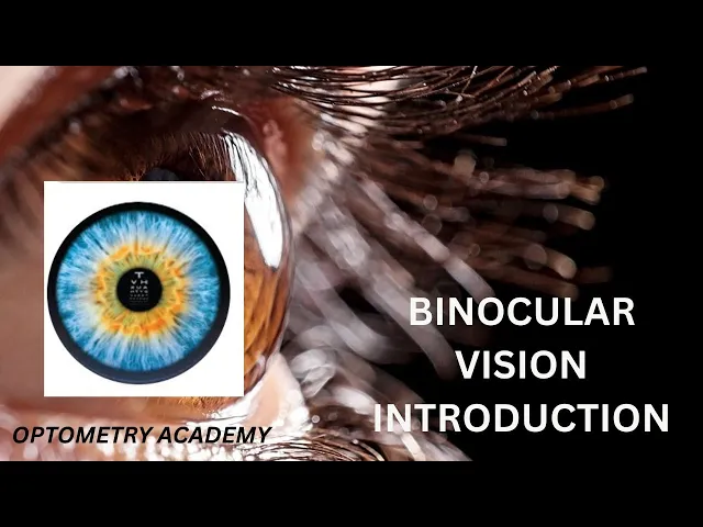 Introduction to binocular single vision, horopter, panums fusion area, sterepsis