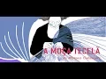 Channel