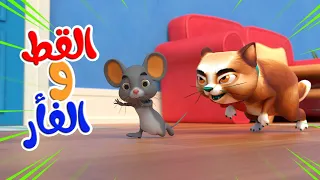اغنية القطه والفأر اغاني اطفال بون بون 