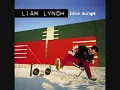 Liam Lynch United States Of Whatever