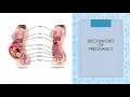 Ricci Ch 11 Maternal Adaptations During Pregnancy S20
