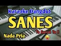 Download Lagu SANES - KARAOKE || NADA COWOK || Denny Caknan || Audio HQ || Live Keyboard