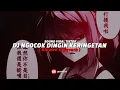 Download Lagu DJ Ngocok Dingin Keringetan ( Slowed \u0026 Reverb ) 