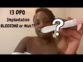 13 DPO Pregnancy Test Implantion Bleeding or PMS TTC Journey