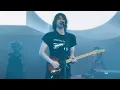 Geese at Outside Lands, 100 horses