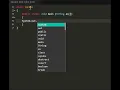 program in