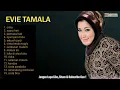 Download Lagu Evi tamala full album terpopuler 2021